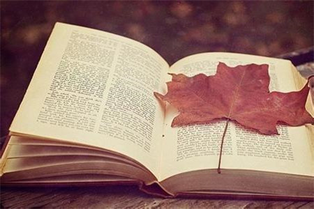 吉林中学教师资格证照片要求是?